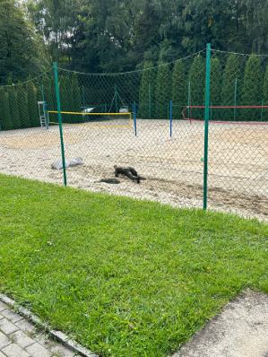 turniej